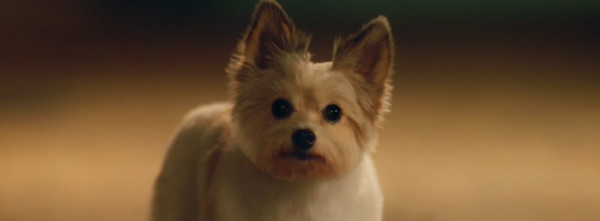 『ワンダフルデイズ』 U-NEXT独占配信中