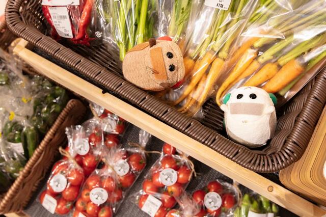 旅の駅 kawaguchiko base【PUI PUI モルカー×カロッツェリア】