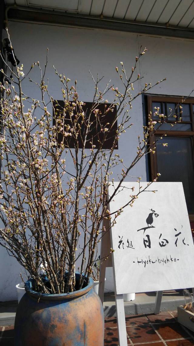 店内装飾は「花処百白花」