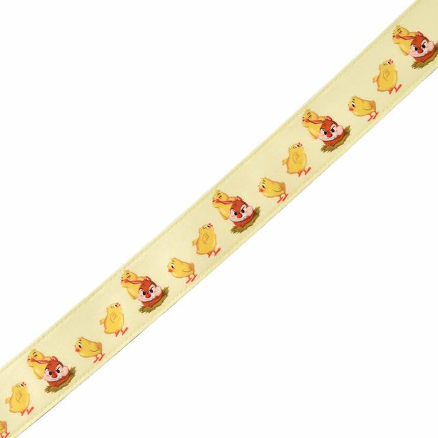 チップ＆デール カメラストラップ CHIP AND DALE SPRING 2,530円