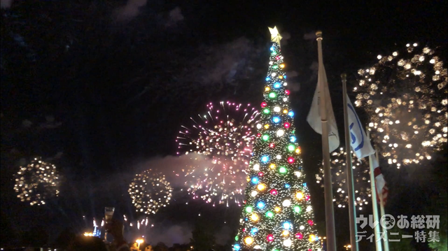 わかりづらいのですが、私のいる場所の真後ろくらいまで花火が上がっていたのです