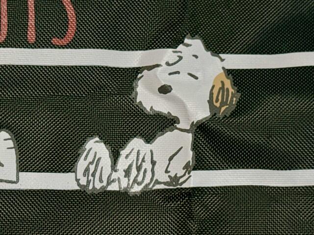 右側のふわふわした毛並みが特徴的な子がアンディ
