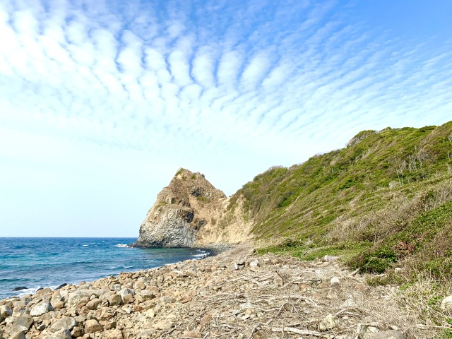 海岸遊歩道を散策
