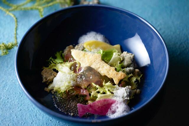 「キヌア、海藻のサラダ 小笠原の塩サブレ」【ハイアット セントリック 銀座 東京 × すみだ水族館が「すみだ水族館コラボアフタヌーンティー」開催】