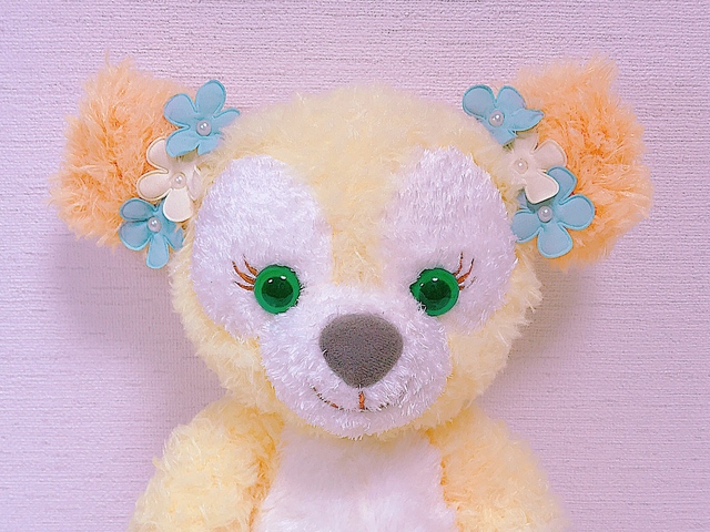 耳を折るとクマちゃん風