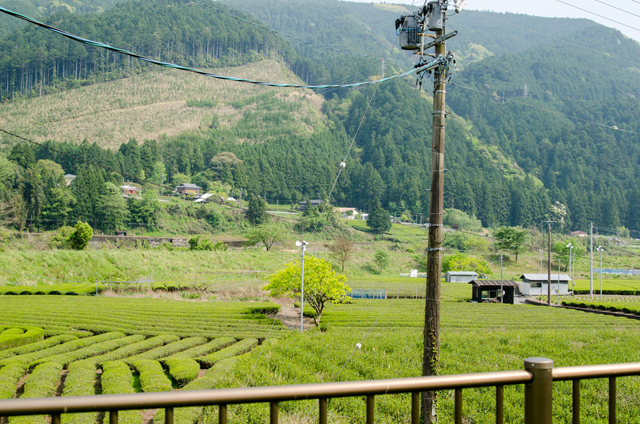 道の駅フォーレなかかわね茶茗舘から、トーマスSLも見える