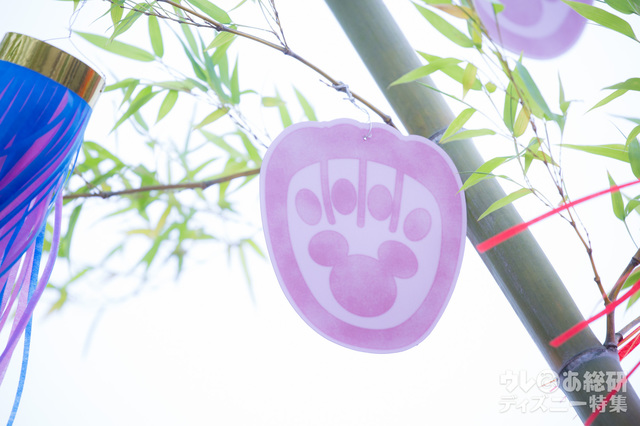 ウィッシングカード