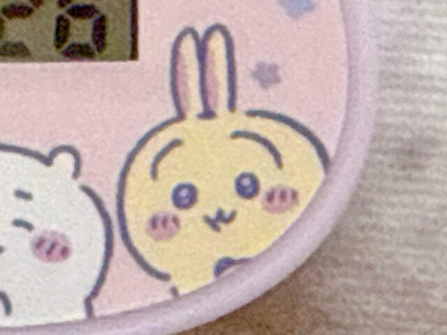 【キャラぱふぇ特大号付録 ちいかわうでどけい】ちいハチとは対照的に、腕組み＆目を開けたままのスタイルのうさぎ。大物ぶりがうかがえます…！