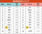 猫の性別名前ランキング【ペットの名前ランキング2023】