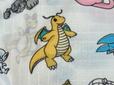 福井県:カイリュー