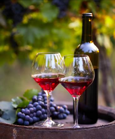 和牛料理と相性抜群の「日本ワインブース」が登場！