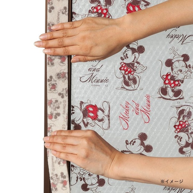 サッシ枠断熱吸着テープ ミッキー&ミニー