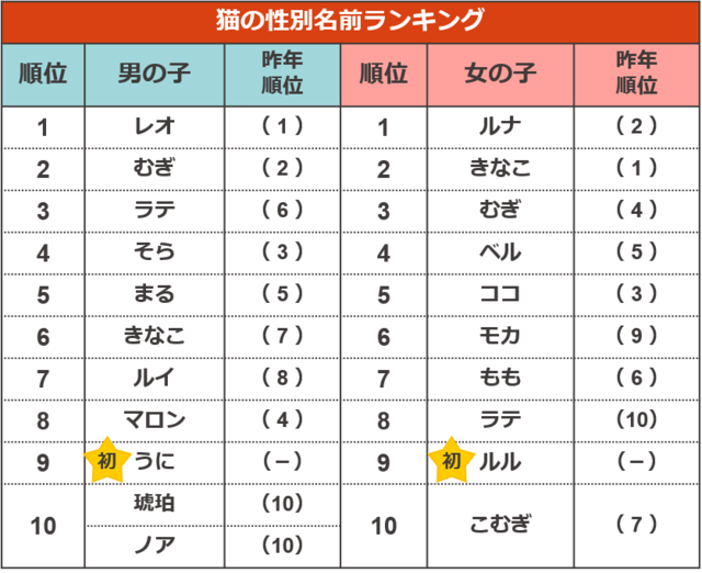 猫の性別名前ランキング【ペットの名前ランキング2023】