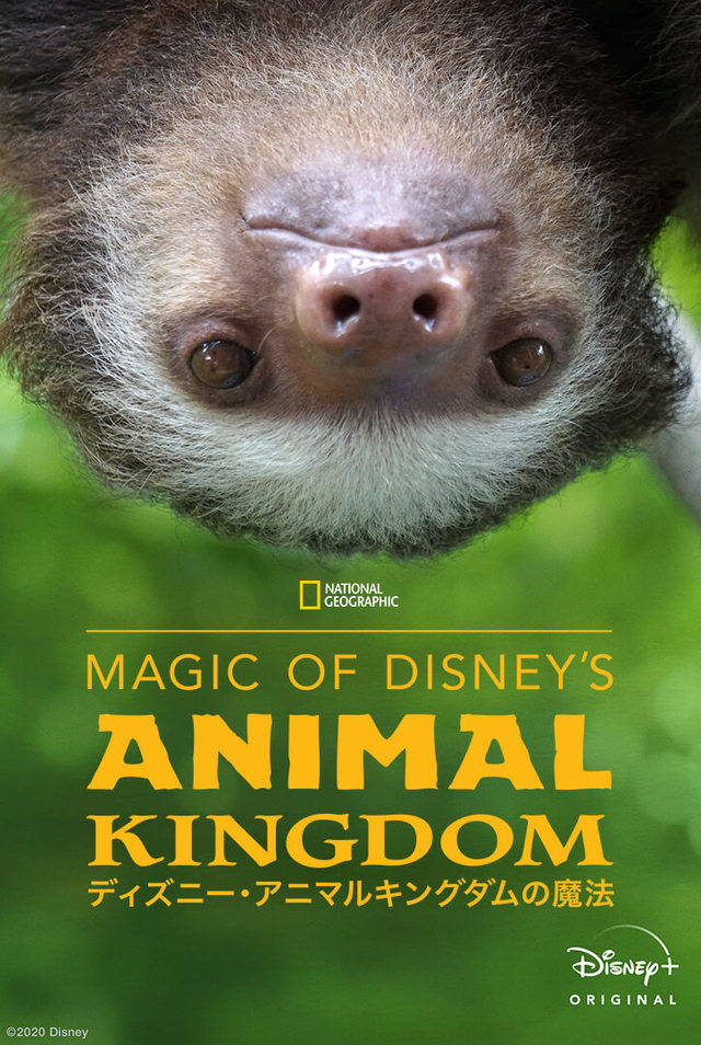 『Magic Of Disney's Animal Kingdom ディズニー・アニマルキングダムの魔法』 