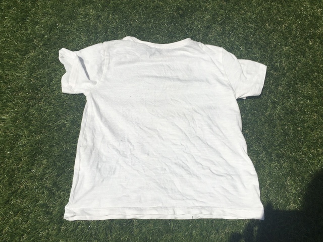 【カインズ CAINZ 抗菌 作業着用洗剤 消臭成分配合 本体 750g】土で汚れた白いTシャツも、驚くくらいスッキリきれいに！