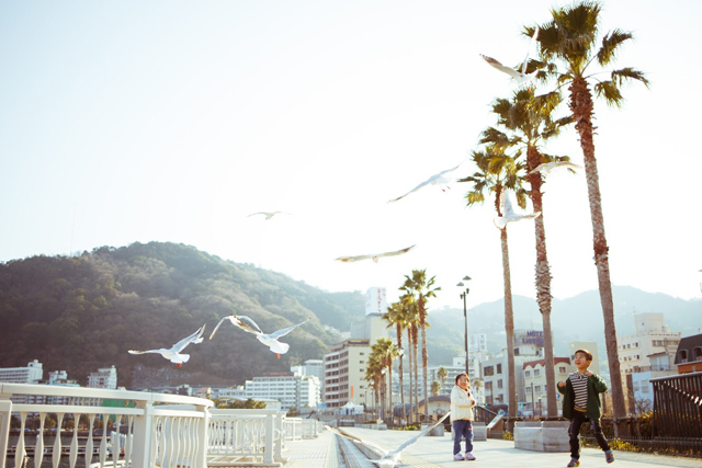 CAMERA:EOS6D / カモメを追い回すちびっこでしたが、ばさっと飛び上った瞬間にビックリしてたところがまだまだちびっこだなと（笑