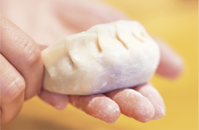 手づつみステーキ餃子