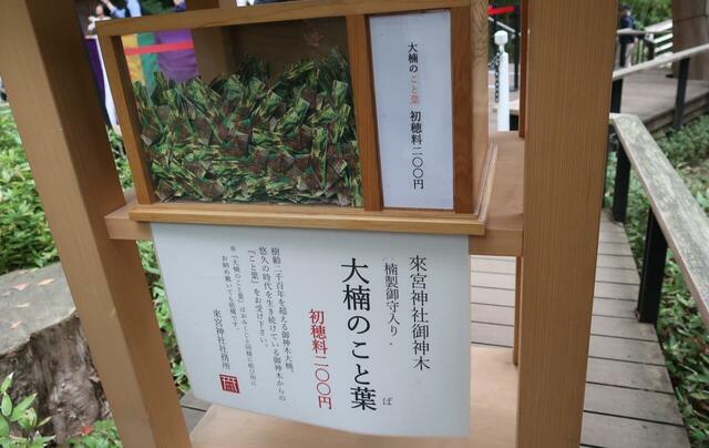 來宮神社大楠のこと葉にはお守りが入っています