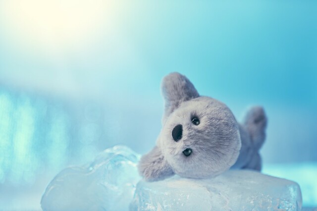 【ポーズー】クッションポーチ（アザラシ）