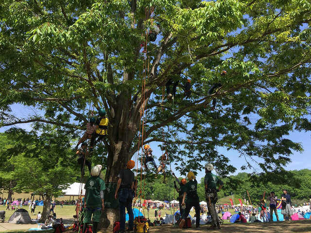 【国営武蔵丘陵森林公園】自然の中でアウトドア！