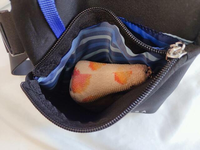 ミニポーチもすっぽり