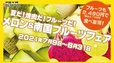 メロン＆南国フルーツフェア