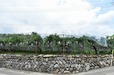 アニャン社はぶどう畑に囲まれている