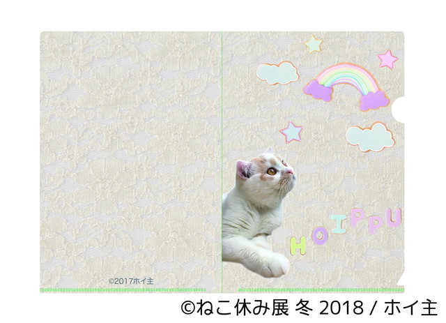 ホイップ(ホイ主)