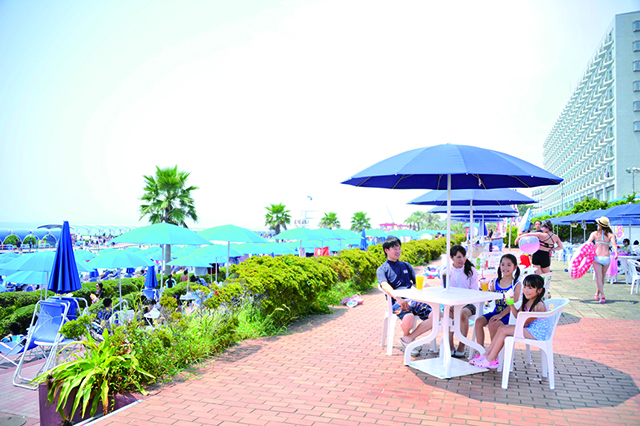 大磯ロングビーチ　ファミリーパラソル