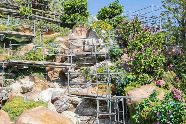 魔法の泉：「ファンタジースプリングス・エントリーウェイ」ラプンツェル（2023年9月撮影）