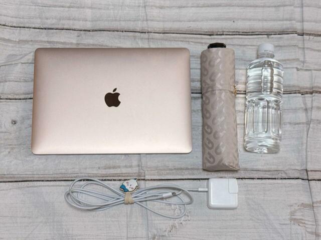 【カルディ ウィンターバッグ】実際にこれらの荷物が入りました！たくさん入れすぎないほうがバッグのシルエットをキレイに保てます◎