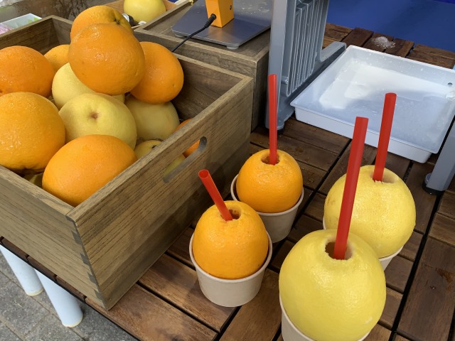 搾りたてのグレープフルーツorオレンジジュースを味わえます