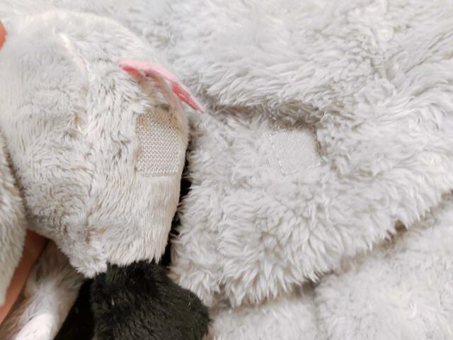 文鳥と着る毛布のマジックテープ部分をくっつけるだけで簡単