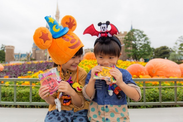 プラザ 撮影 / YOSHI