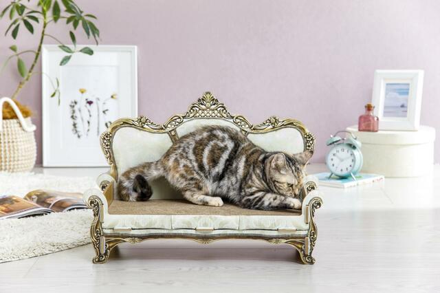 交換できる爪とぎソファハイバッグ　使用イメージ