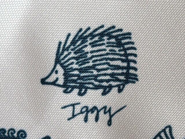 【cookpad plus 2025年夏号特別付録】イギーは好奇心旺盛で活発な男の子