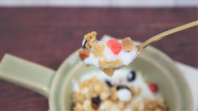 【トップバリュ プロテイングラノーラ】ヨーグルトに混ぜるのもおすすめ