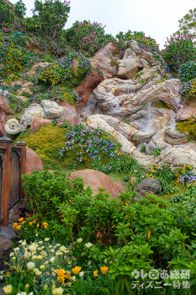 東京ディズニーシー「ファンタジースプリングス」現地のようす