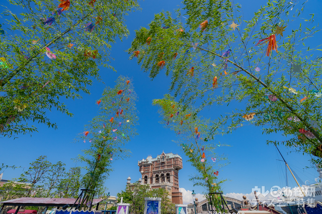 東京ディズニーシーのウィッシングプレイス