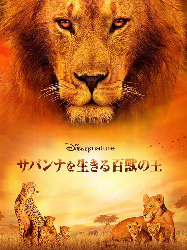 『ディズニーネイチャー／サバンナを生きる百獣の王』