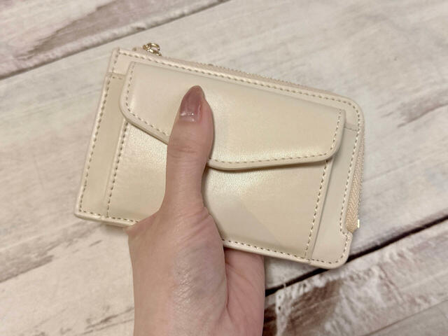 手のひらに収まるコンパクトなサイズ感