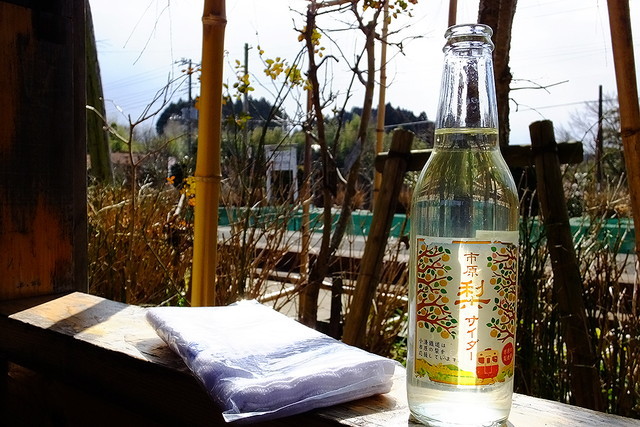 千葉鉄道旅／「養老渓谷駅」の『梨サイダー』