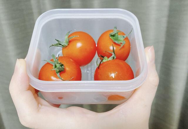 【ニトリ フレッシュキーパークラリー】トマトにたくさんの水滴がついている