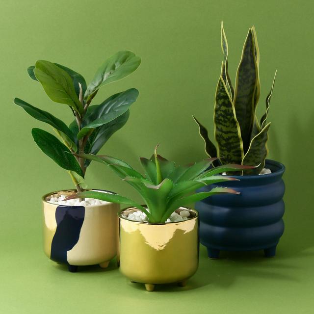 【Francfranc（フランフラン）】ポット付グリーン