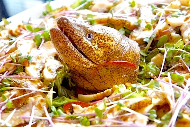 過去のイベントの模様