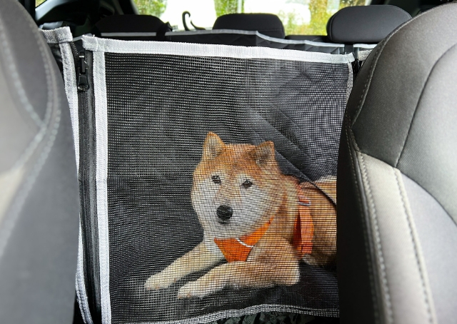 【Pecuteペット用ドライブシート】メッシュ部分から愛犬の様子がよく見えます