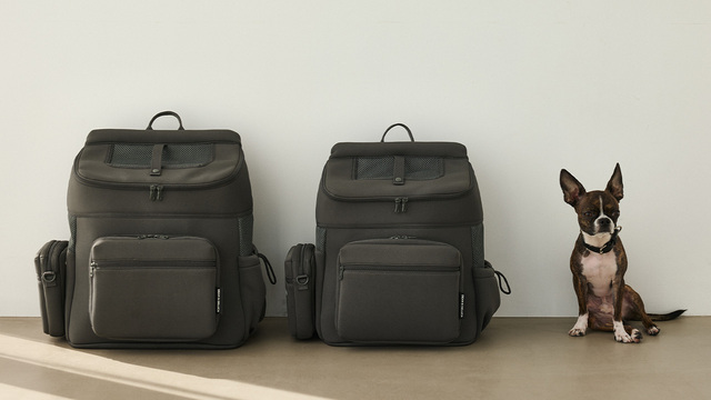 【DEAN ＆ DELUCA／バッグパックキャリー】MサイズとLサイズの2展開。どちらも落ち着いたチャコールグレーで使いやすい色味です