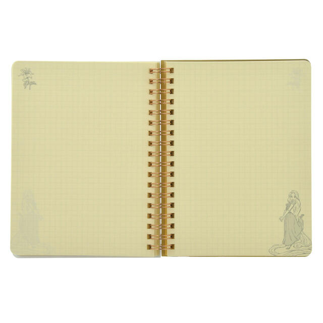 【デルフォニックス】ラプンツェル＆フリン・ライダー、パスカル Rollbahn Diary L 手帳・スケジュール帳 CALENDAR＆ORGANIZER 2026 2,400円