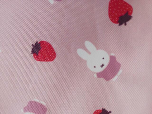 イラスト拡大図