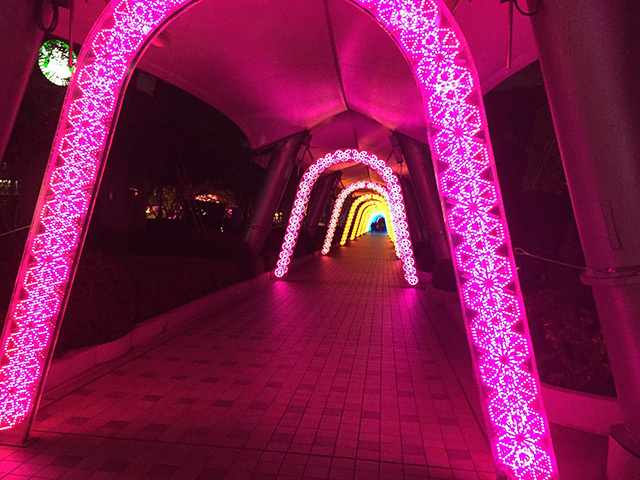 「東京ドームシティ ウィンターイルミネーション」